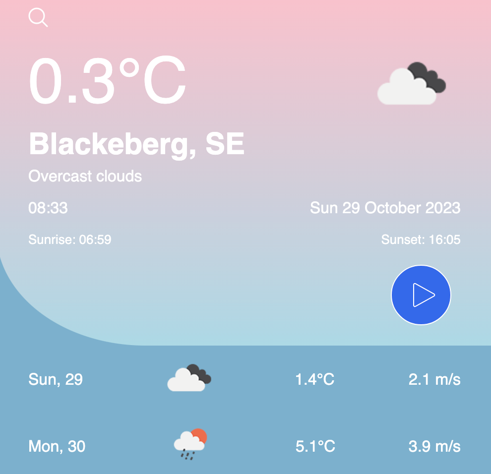 project screenshot